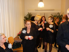 Uitvoering 2014 Nieuwe Niedorp (27).jpg